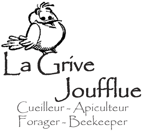 La Grive Joufflue   Cueilleur-Apiculteur