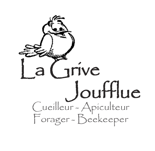 La Grive Joufflue   Forager-Beekeeper